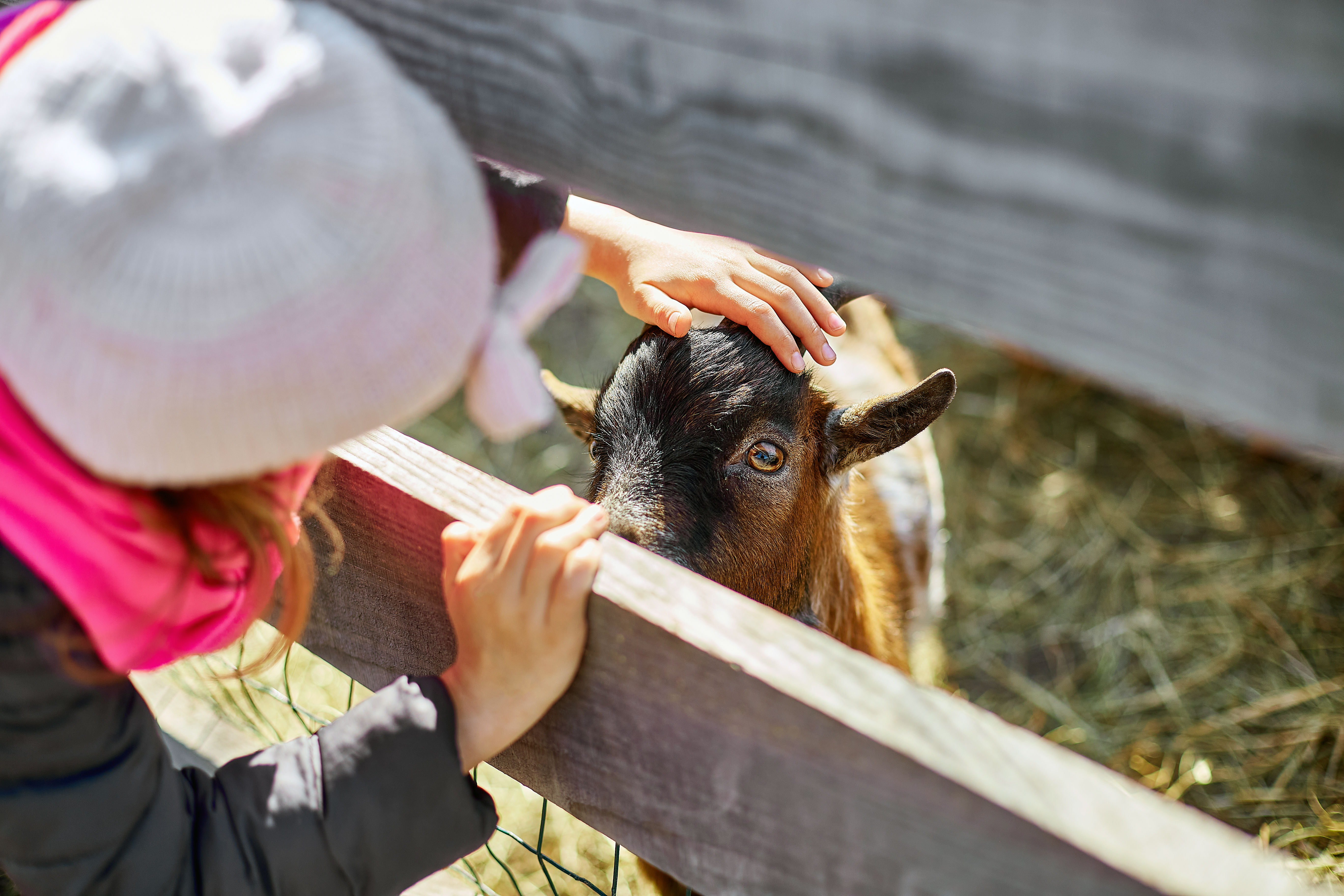 ferme pédagogique